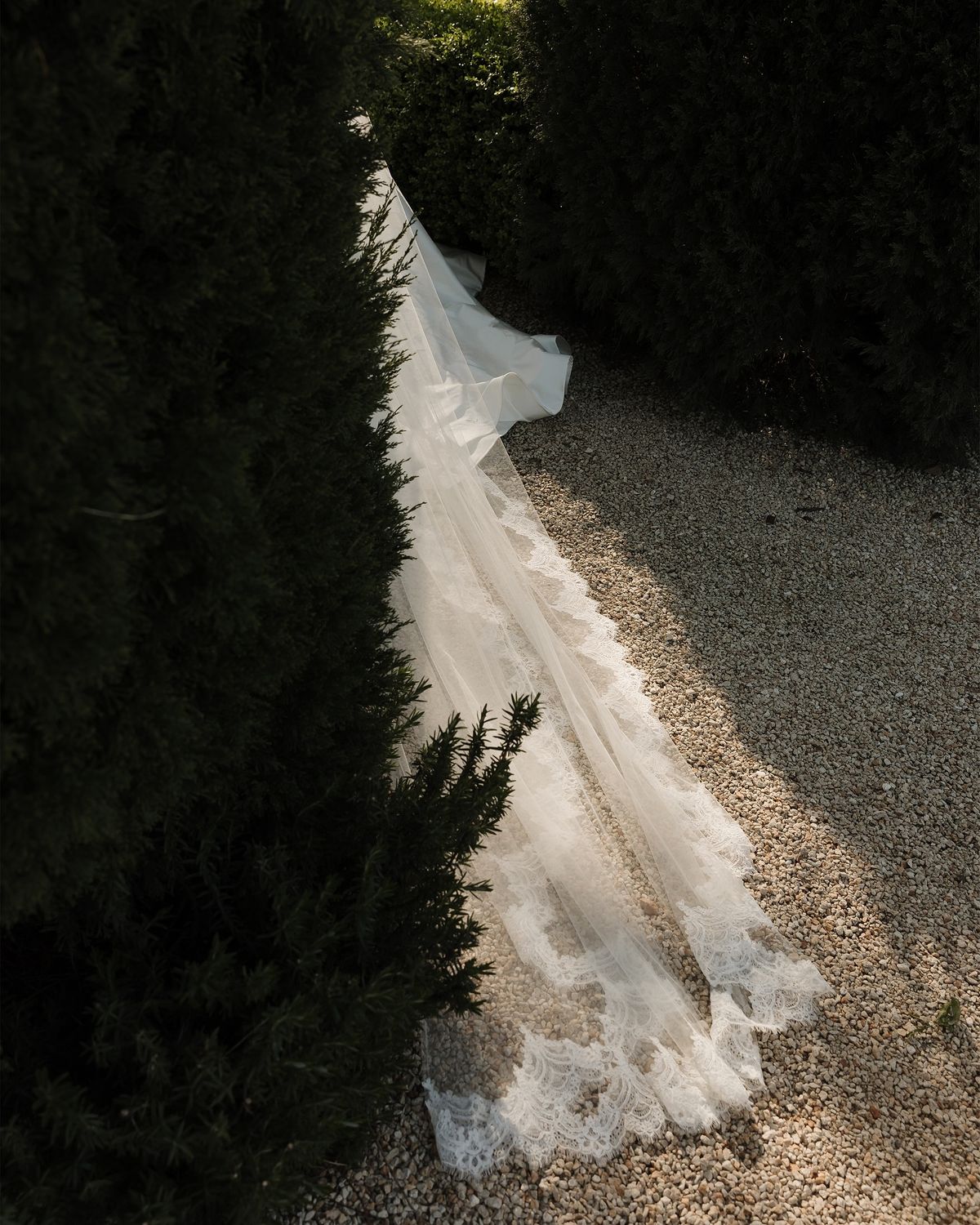 Julie — Romantic Lace Wedding Veil